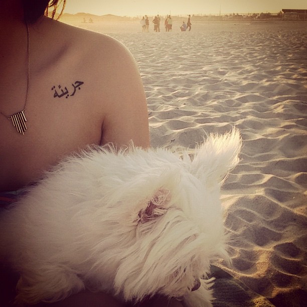 small-arabic-tattoo-and-a-white-dog